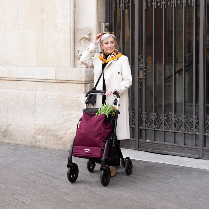 Citywalker van Playcare