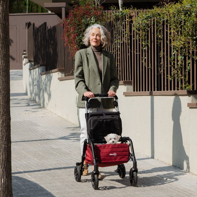 Citywalker Storage & Pet Carrier van Playcare