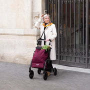Citywalker van Playcare